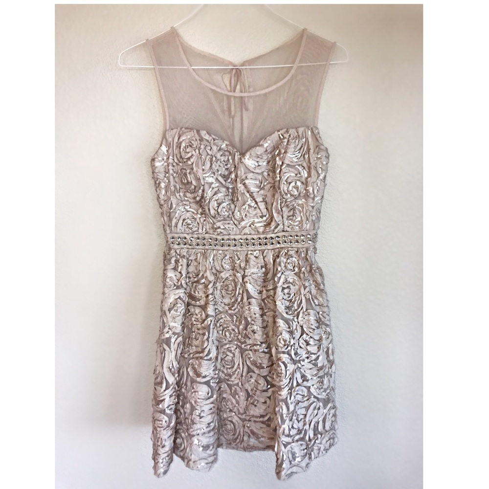 Blush rose sparkle dress
